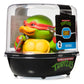 Tubbz First Edition Raphael Collectible Vinyl Rubber Duck Figure - Official Teenage Mutant Ninja Turtles Merchandise - Tv, Movies & Video Games