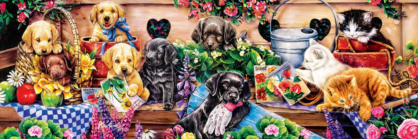 Flower Box Playground Panoramic 1000 Pc