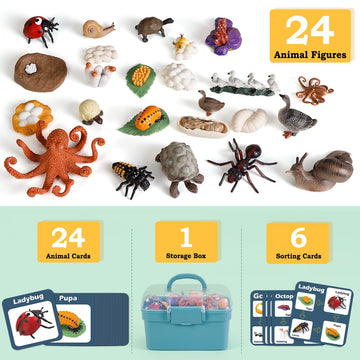 Life Cycle Toys For Kids - Life Science Education Kits: Ladybug, Ants, Goose, Land Turtle, Snail, Octopus - 24 Pieces Animal Models Stem Learning Toys For 3-10 Year Old