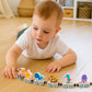 LovesTown Wooden Sea Animal Train Set, Montessori Educational Toy for Kids, 11 PCS, Multi Color, Ideal Toddler Birthday Gift