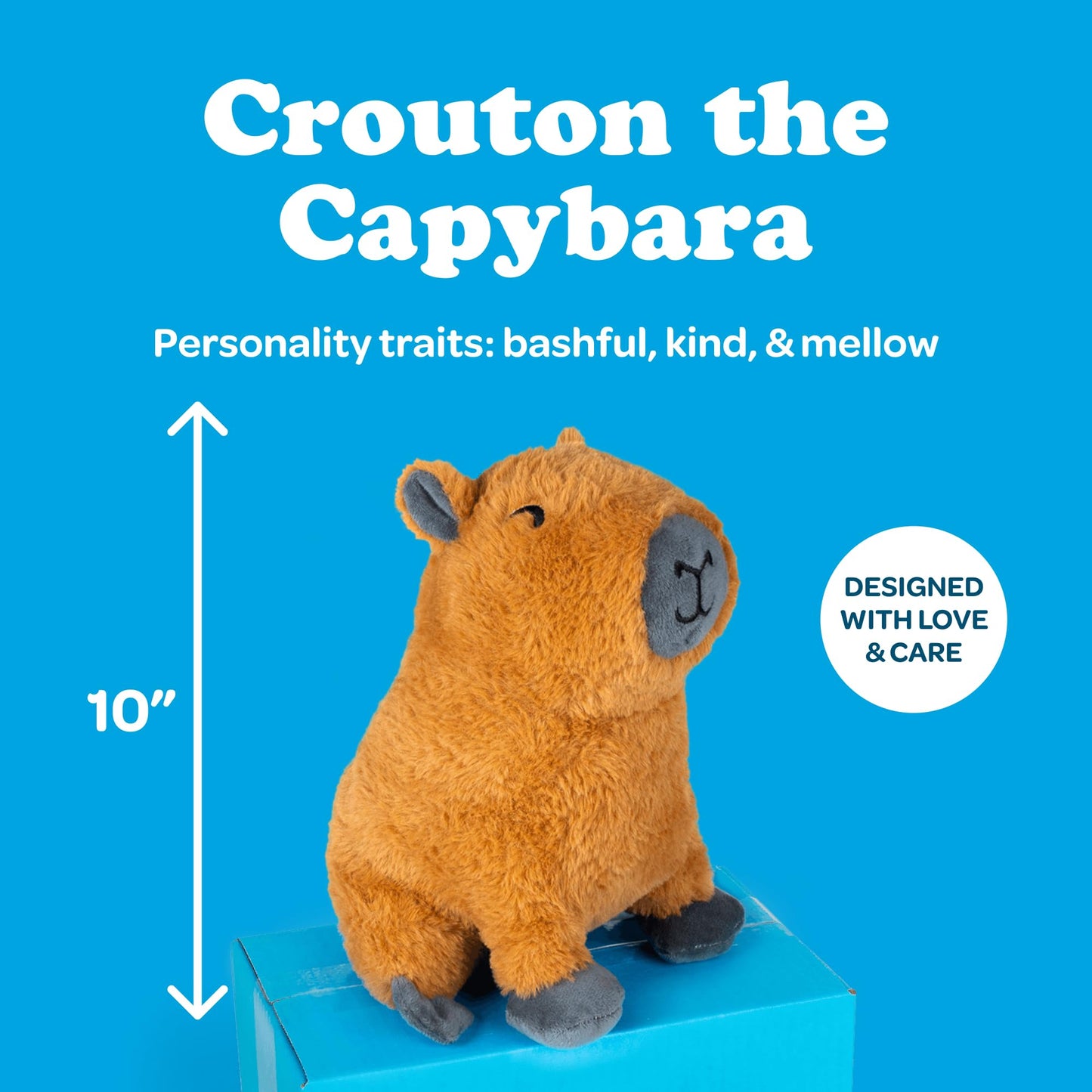 SendAFriend Crouton The Capybara Stuffed Animal Care Package, 10" Brown Polyester Gift Box, Perfect for Any Occasion