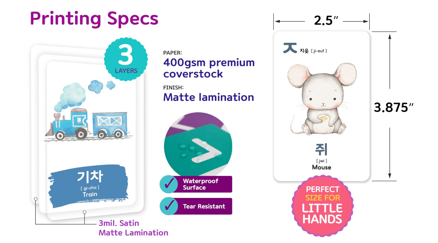 Stellarsol 2-Pack Gift Set Korean Alphabet Flashcards For Toddlers, Preschoolers, Beginners | Hangul, Numbers, Colors, Shapes, A