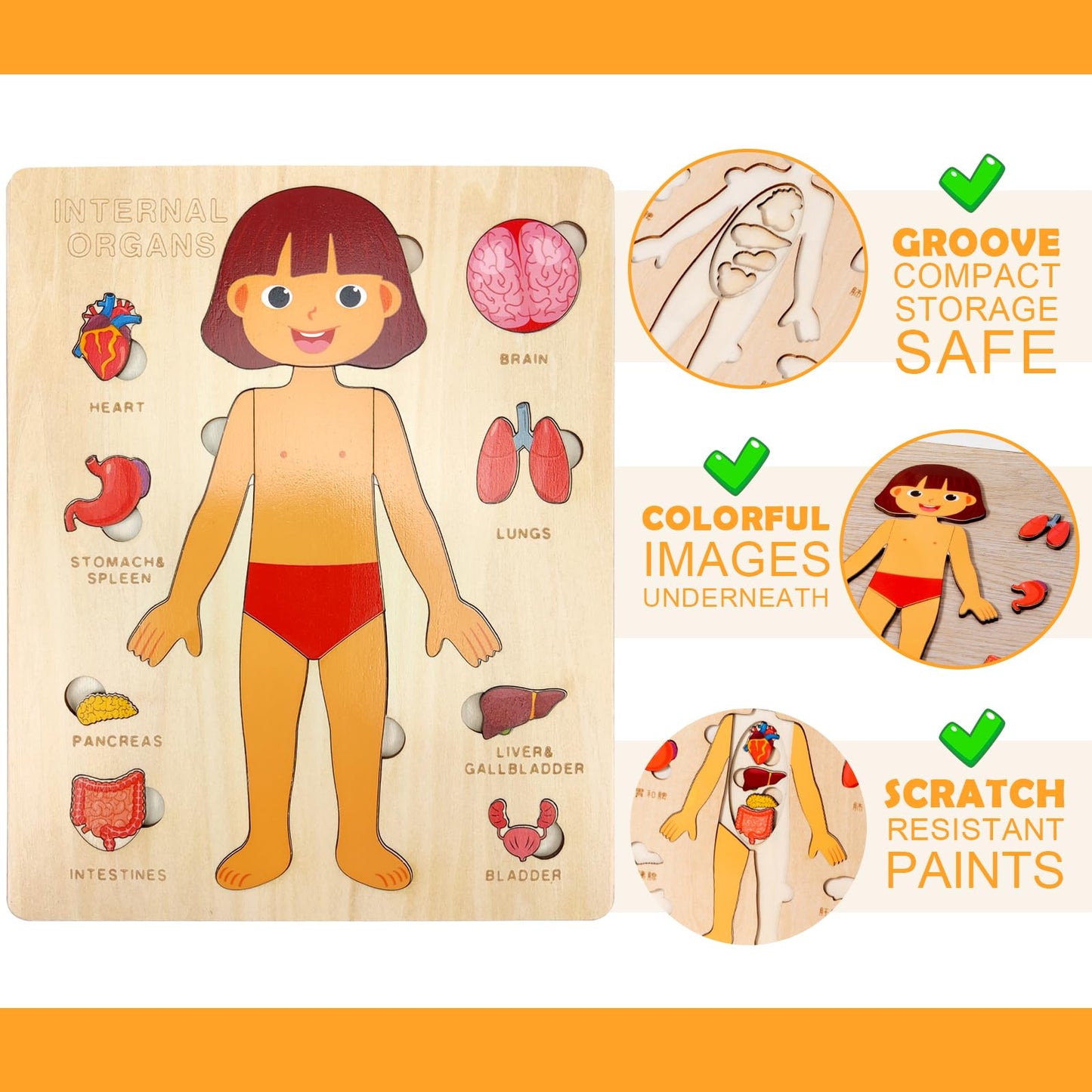 Wooden Body Puzzles for Kids, Toddler Montessori 14 Pieces Girl Anatomy Puzzle, Human Body Learning Toy with Internal Organs Ear