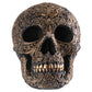 Summit Collection Black Carved Ceremonial Skull With Gothic Motif Design Skull Figurine Collectible 6.75 Inch L