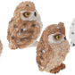 George S. Chen Imports Ss-G-54281 Imports Owl Figurines (Set Of 4), 2'