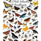 Butterflies Of The Mid-Atlantic And Southeast - 550 Piece Puzzle - Made In The Usa