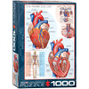 EuroGraphics 1000-Piece Human Body Heart Puzzle, Blue, Cardboard, Model 6000-0257
