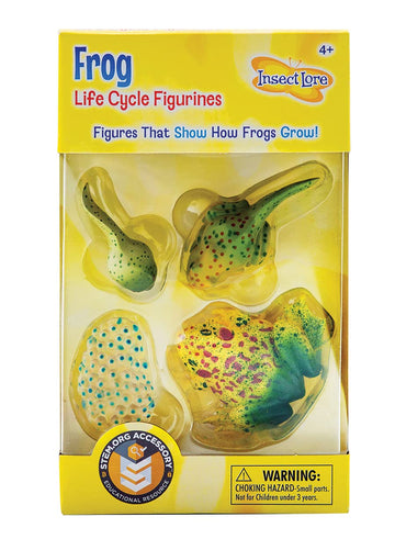 Insect Lore Frog Life Cycle Stages