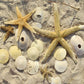 Sea Stars-Doran-1000 Piece Puzzle