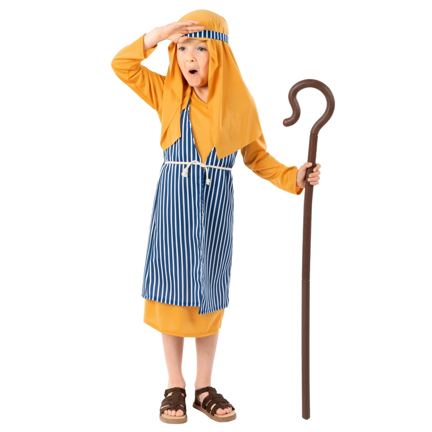 Fun Shack Boys Shepherd Costume Kids, Shepherd Costumes For Kids, Shepherd Boy Costume, Kids Joseph Costume For Boys, Small