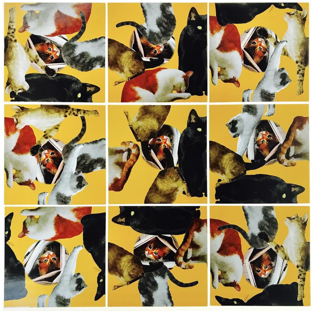 Scramble Squares Cat 9 Piece Challenging Puzzle - Ultimate Brain Teaser And Mind Game For Young And Senior Alike - Engaging And Creative With Beautiful Artwork - By B.Dazzle
