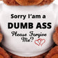 Sorry and Forgive Me Gift: Funny Teddy Bear Couple Gift: Medium Teddy Bear Stuffed Animal
