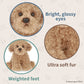 Bearington Lil' Caramel Dog Stuffed Animal - Plush Goldendoodle Toy - 6.5" Labradoodle Plush - Perfect for Kids