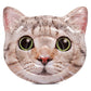 Intex 58784Eu - Hyperrealistic Cat Mat With Handles