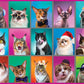 White Mountain Puzzles - Cat Portraits - 500 Piece Jigsaw Puzzle