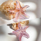H&D HYALINE & DORA 2.8 Glass Starfish Figurine Handmade Blown Glass Starfish Figurine Tiny Glass Sea Animals Ornament for Aquarium Decor(Pink)