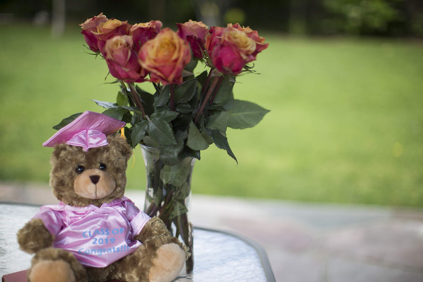 Plushland Plush Stuffed Animal Toys 12 Inches Present Gifts for Graduation Day  Personalized Text  Name or Your School Logo on Gown  Best for Any Grad School Kids (New Pink Gown)