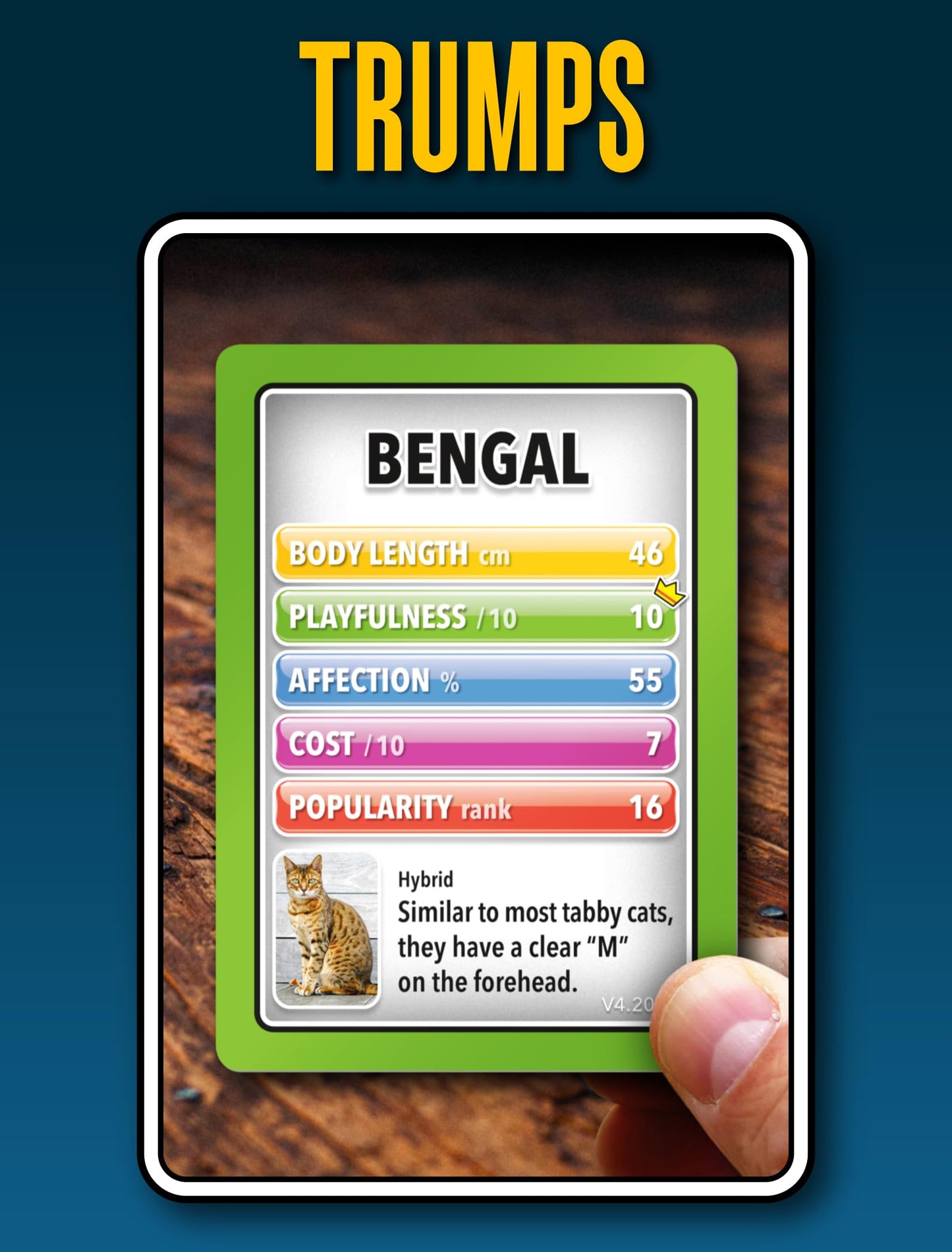 SMART CARDS Cats Card Games - Matching Pairs, Snap, Trumps, Rummy, Happy Families (8 Games To Play) | Age 5+, 1-8 Players | Fun