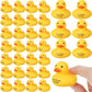 Leitee Rubber Ducks For Ducking You'Ve Been Ducked Mini Bulk Yellow Rubber Duckies For Bath Toys Birthday Game Pool Party Favors(72 Pcs,Text)