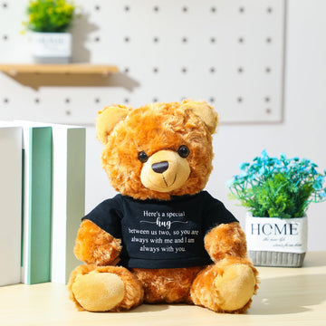 Deekin 2 Pcs Sympathy Gift Small Bear 9.8 Inch Plush Stuffed Animal With A Bear Hug Sign Condolences Memorial Loss Of Loved Idea