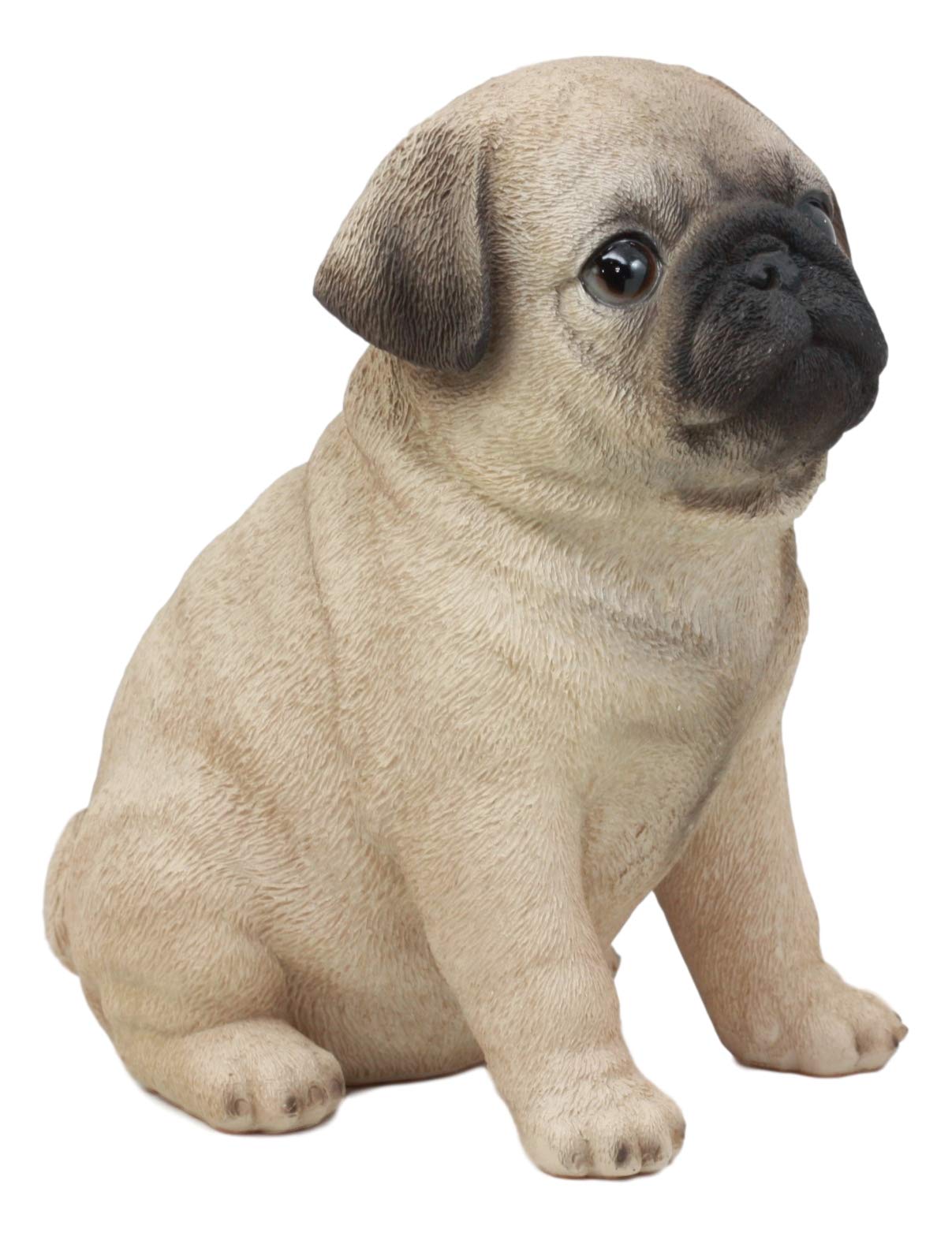 Ebros Gift Realistic Lifelike Adorable Sitting Pug Dog Statue 6' Tall Pet Pal Pugs Puppy Pup Dog Breed Collectible Resin Decor Figurine With Glass Eyes