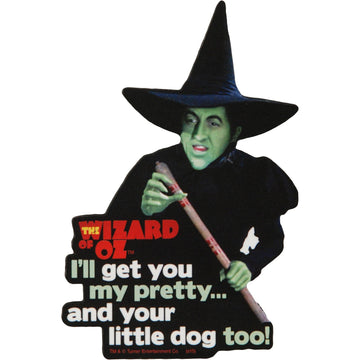 Aquarius - The Wizard Of Oz Wicked Witch Of The West Funky Chunky Magnet