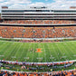 MasterPieces 1000 Piece Sports Jigsaw Puzzle - NCAA Illinois Fighting Illini Center View Panoramic - 13x39