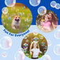 Maxx Bubbles 24 Pack 14.6' Big Bubble Wands For Summer Toy, Outdoor/Indoor Activity Use, Party Favor Supplies For Kids, 2 Dozen