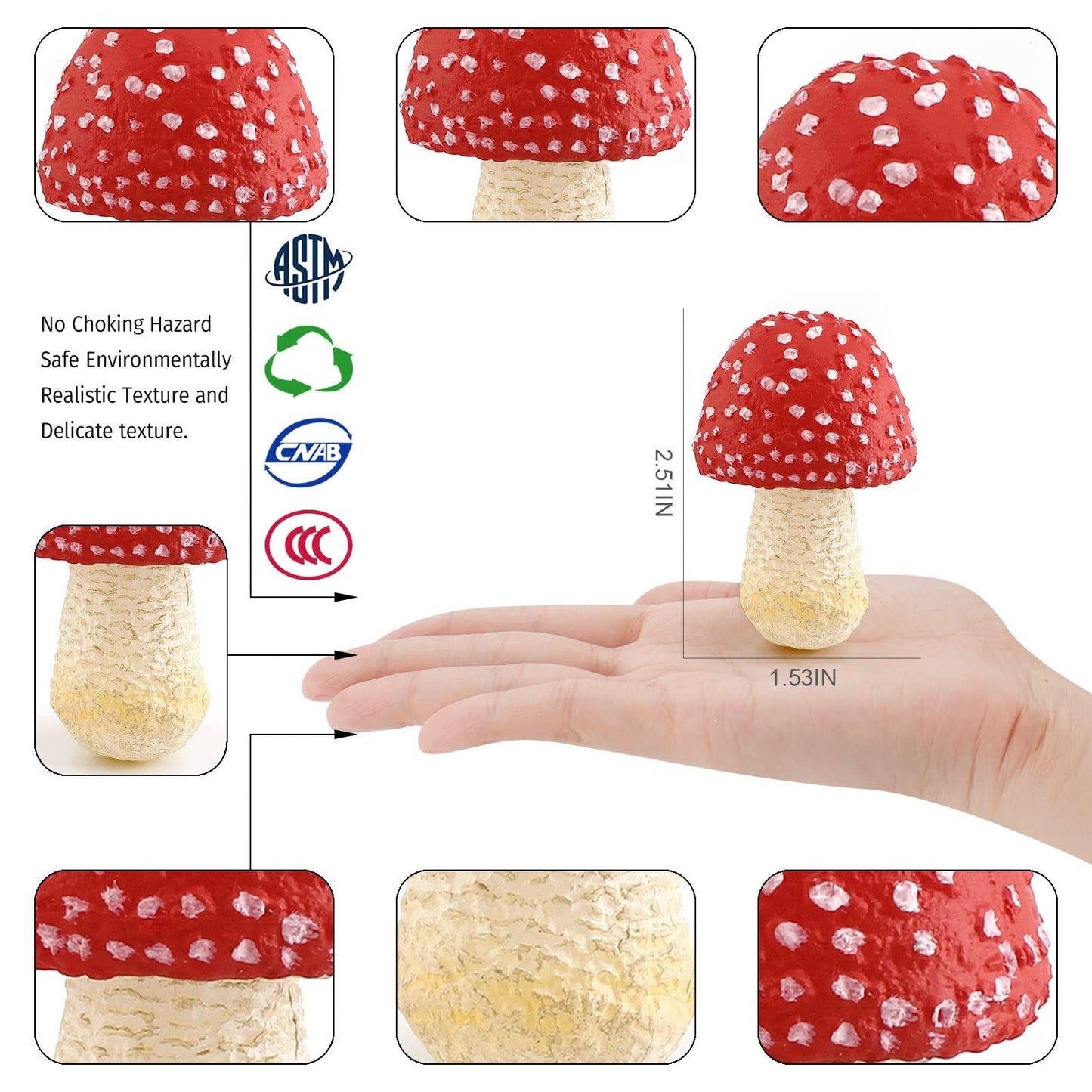 GUFOPONAS 1.5Inch Mushroom Toy Set Fantastic Fungi Figure 4PCS Realistic Life Cycle of Mushroom Decor for Diorama Projects Kids