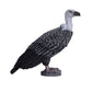 Mojo Griffon Vulture Realistic International Wildlife Hand Painted Toy Figurine