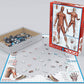 Eurographics Muscular System Puzzle (1000-Piece) (6000-2015)