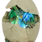 Ebros Emerging Dragon Egg Hatchling With Color Changing Led Night Light Figurine Dragonling Wyrmling Dungeons And Dragons Decor Statues And Figurines Renaissance Medieval Fantasy Creature