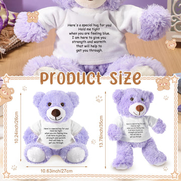 Lenwen A Bear Hug Gift Get Well Soon Bear Sympathy Gift For Women Plush Stuffed Animal Hug Thinking Of You Condolences Memorial Loved Present(Purple)