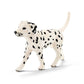 Schleich Farm World 7-Piece Farm Animal Gift Set Including Dalmatian  Cat  Pig  Goat  Rooster  Texas Longhorn Calf and Pinto Foal Animal Toys