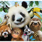 Anatolian Puzzle - Zoo Selfie, 500 Piece Jigsaw Puzzle, #3596