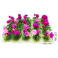 Prettylife 20Pcs Miniature Flower Cluster Grass Flower Tufts For Mini Dollhouse Fairy Garden Railway Simulated Static Scenery Micro Landscape Model (Rose)
