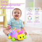 Holaxander Musical Ladybug Baby Toys 6-12 Months, Infant Early Educational Learning Montessori Toy for 1+ Year Old Girl, First B