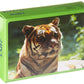 Us Toy Wild Animal Puzzles (Pack Of 12)
