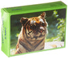 Us Toy Wild Animal Puzzles (Pack Of 12)