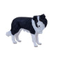 Mojo Border Collie Realistic Domesticated Animal Hand Painted Toy Figurine