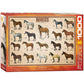 Eurographics Horses 1000 Piece Puzzle
