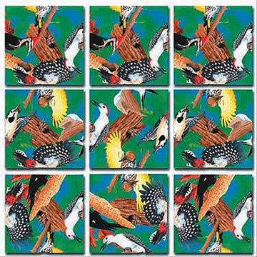 B Dazzle Woodpeckers Scramble Squares 9 Piece Puzzle