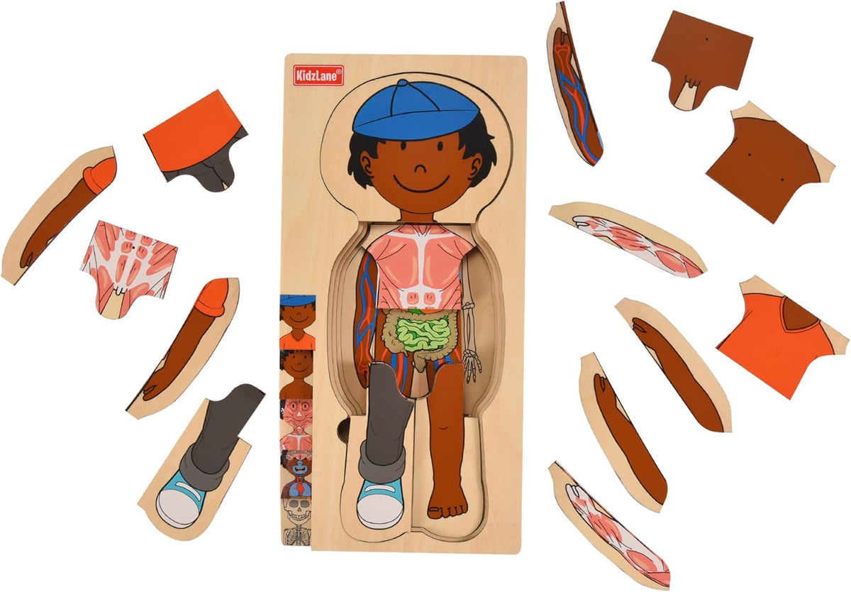 The Human Body Puzzle - Girl