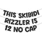 Fulmoon Pre Strung This Skibidi Rizzler Is 12 No Cap Glitter Banner 12th Birthday Party Decorations, Funny Birthday Sign, Party 