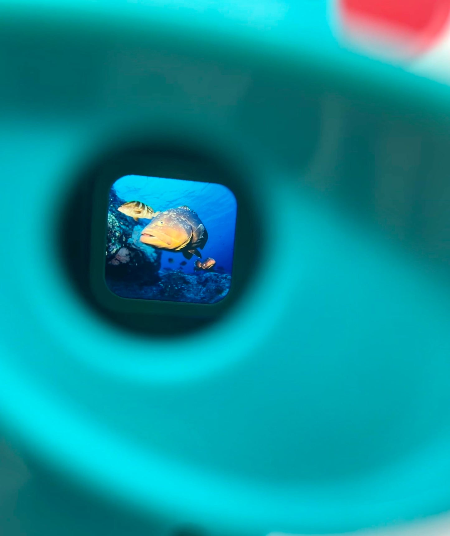 Warm Fuzzy Toys 3D Viewfinder (Sea Life) - Viewfinder For Kids & Adults, Classic Toys, Slide Viewer, 3D Reel Viewer, Retro, Vint