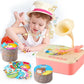 Crazybuy Phonograph Musical Toys 96 Cards Stories Songs & Music For Kids (Multicolor)