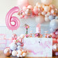 Pink Number 6 Balloon 40 Inch, Big Large Foil Helium Number Balloons, Jumbo Giant Mylar Number 6 Balloons For 6 Year Old Birthda
