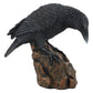 Ebros Gift Gothic Macabre Edgar Poe Perching Raven On Rock Figurine 5' Tall Gothic Crow Scavenger Bird Decor Sculpture