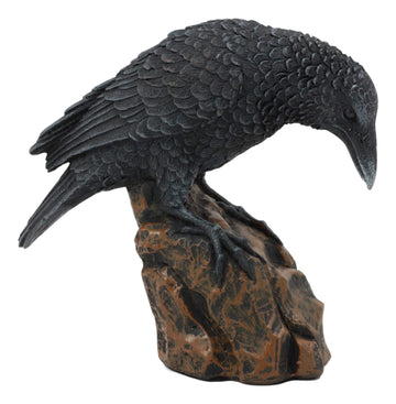 Ebros Gift Gothic Macabre Edgar Poe Perching Raven On Rock Figurine 5' Tall Gothic Crow Scavenger Bird Decor Sculpture