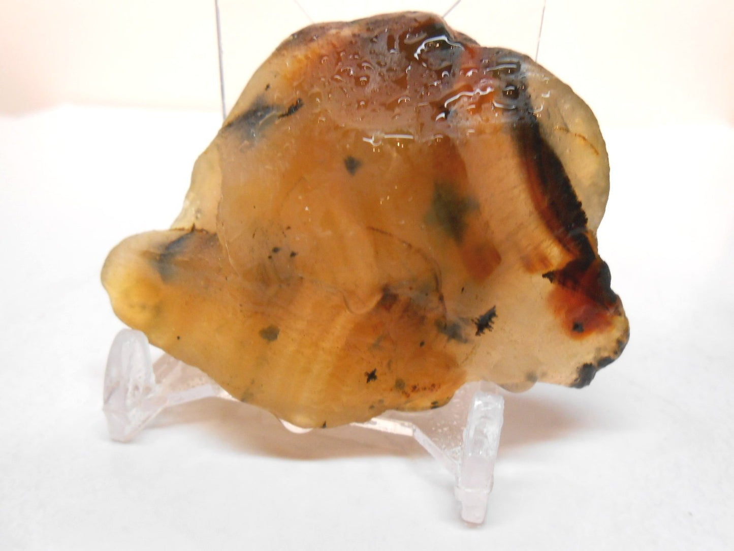 Rock Tumbler Gem Refill Kit Yellowstone Montana Black Dendrite Agate Rough 8 oz